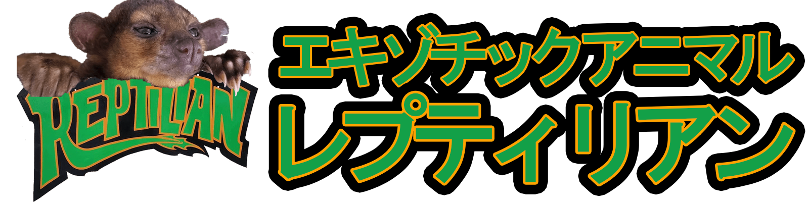 エキゾチックアニマルレプティリアン